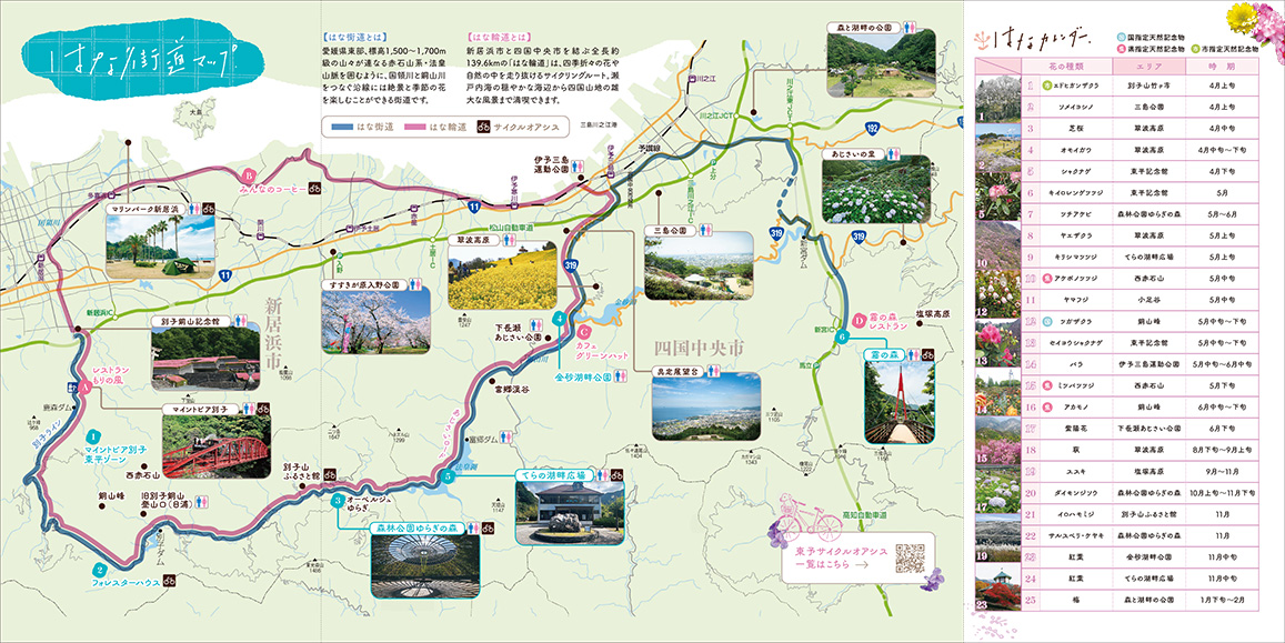 パンフレット裏